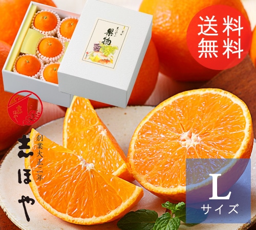 ڿ̸١ۡڽвٻ11417̵ۡ۰ɲ Ȥޤɤ L 5 1180230g£ ڻԲġ