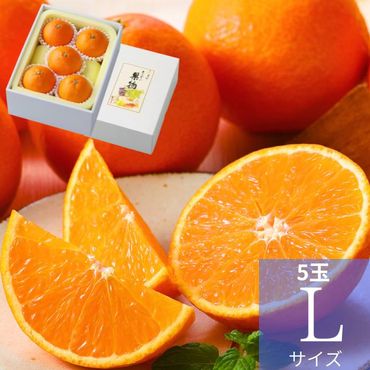 ��ɲ���� �Ȥޤɤ�� L������ 5�� ��1����180��230g�ˡڻ������Բġۡڽвٻ�����12����ܡ�1���