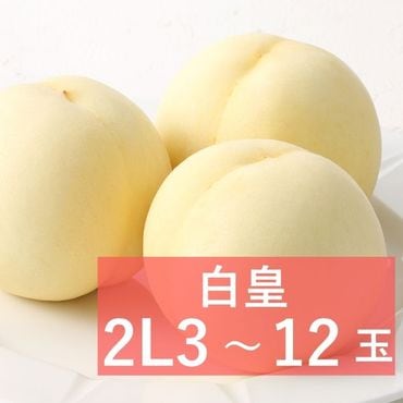 ��� Ķ�õ�(2L������)�ڻ������Բġۡڽвٻ�����8��15����8��ܺ���