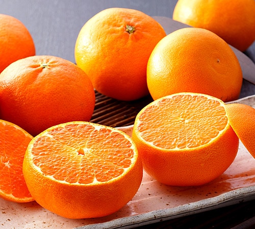 佪λۡڽвٻ2ܡ3ܡ̵ۡ۰ɲ Ȥʿʤڤ˵͹礻  ե 2kg8ˡڻԲġ