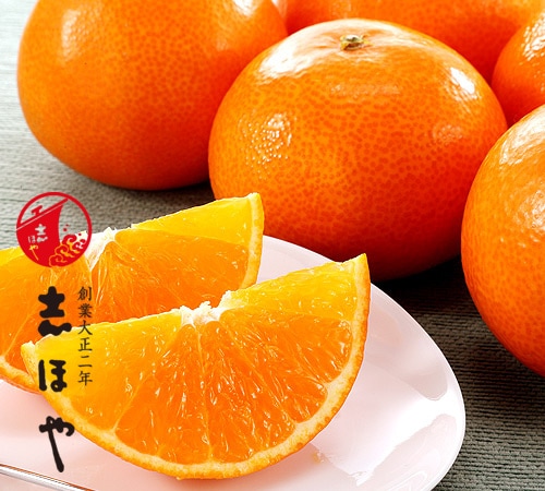 ڿ̸١ۡڽвٻ11417̵ۡ۰ɲ Ȥޤɤ 2L3L  0.75kg3̡̰£ѡڻԲġ