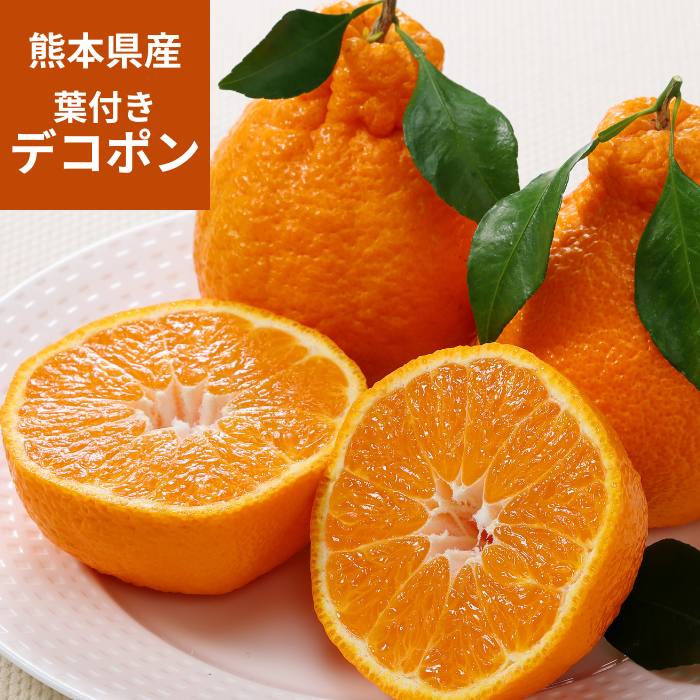 �ڽвٻ�����1��ܡ�2��ۡ�����̵���۷��ܸ��� ���դ��ǥ��ݥ� 0.75kg��3�̡ˡ������󥵡����̡ڻ������Բġ�