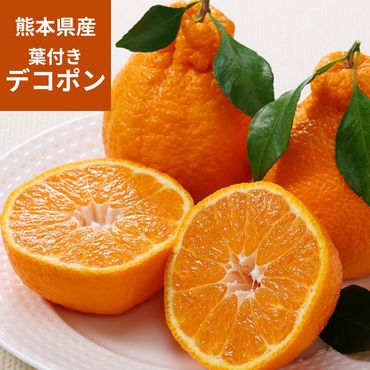 �ڽвٻ�����1��ܡ�2��ۡ�����̵���۷��ܸ��� ���դ��ǥ��ݥ� 0.75kg��3�̡ˡ������󥵡����̡ڻ������Բġ�