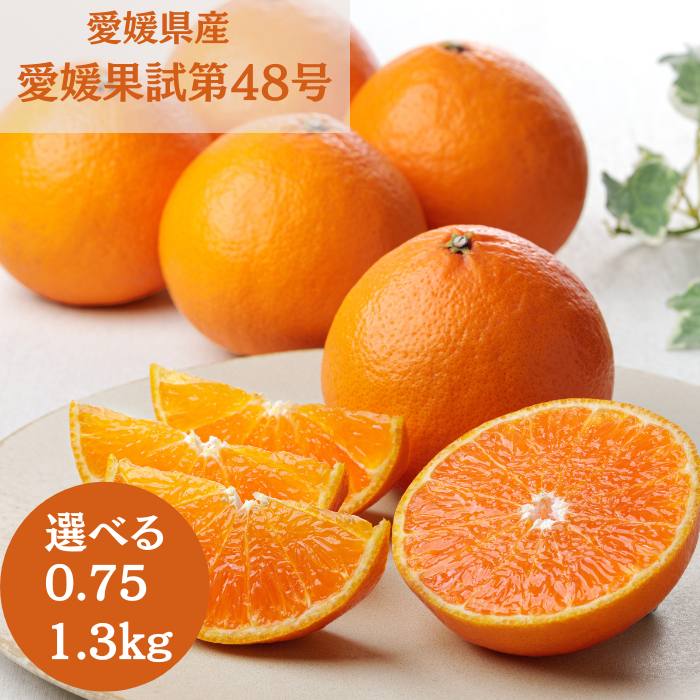 ������̵���۰�ɲ�̻���48��ڻ������Բġ�