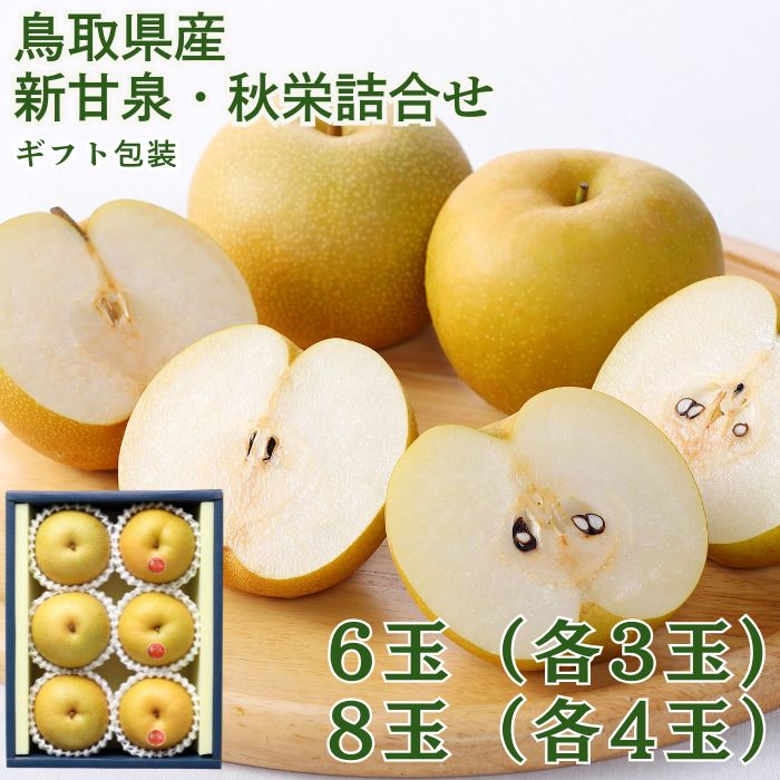 Ļ�踩�� �����������ɵ͹礻�ڻ������Բġ�