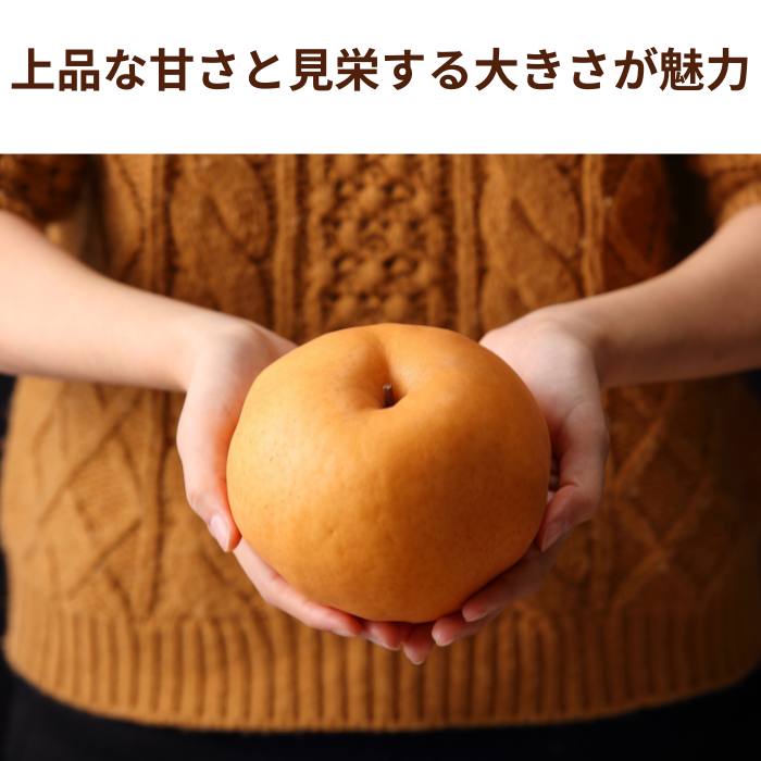 ڽвٻ11ܡ̵ۡ۲ 񡦤͹礻 1˼600gˤ1(750800g)£ѡڻԲġ