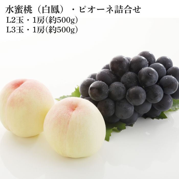 ��̪�����ԥ����͵͹礻 �ڻ������Բġ�