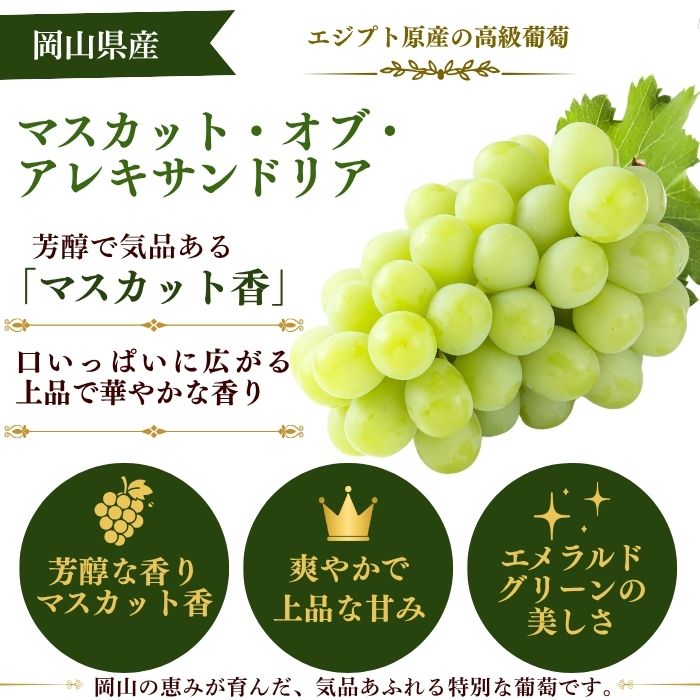 �����������ޥ����åȵ͹礻 �ڻ������Բġ�