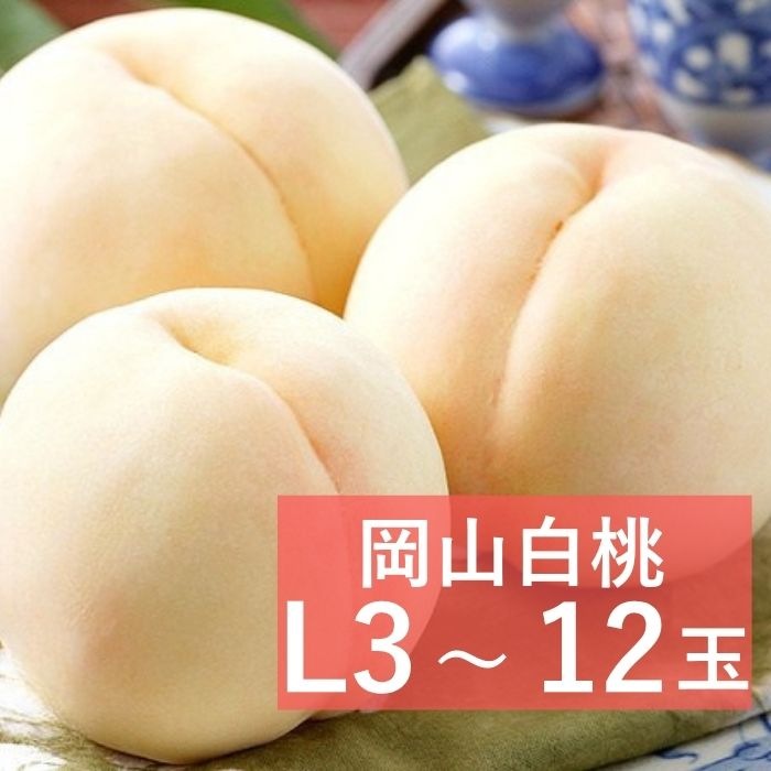 �������� �õ�(L������)�ڻ������Բġۡڽвٻ�����8���8��10������
