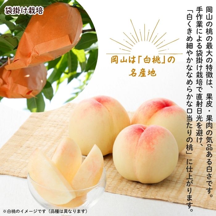 �������� �õ�(L������)�ڻ������Բġۡڽвٻ�����8���8��10������