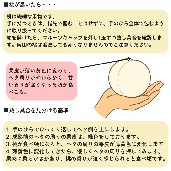 �����������ԥ����͵͹礻 �ڻ������Բġ�