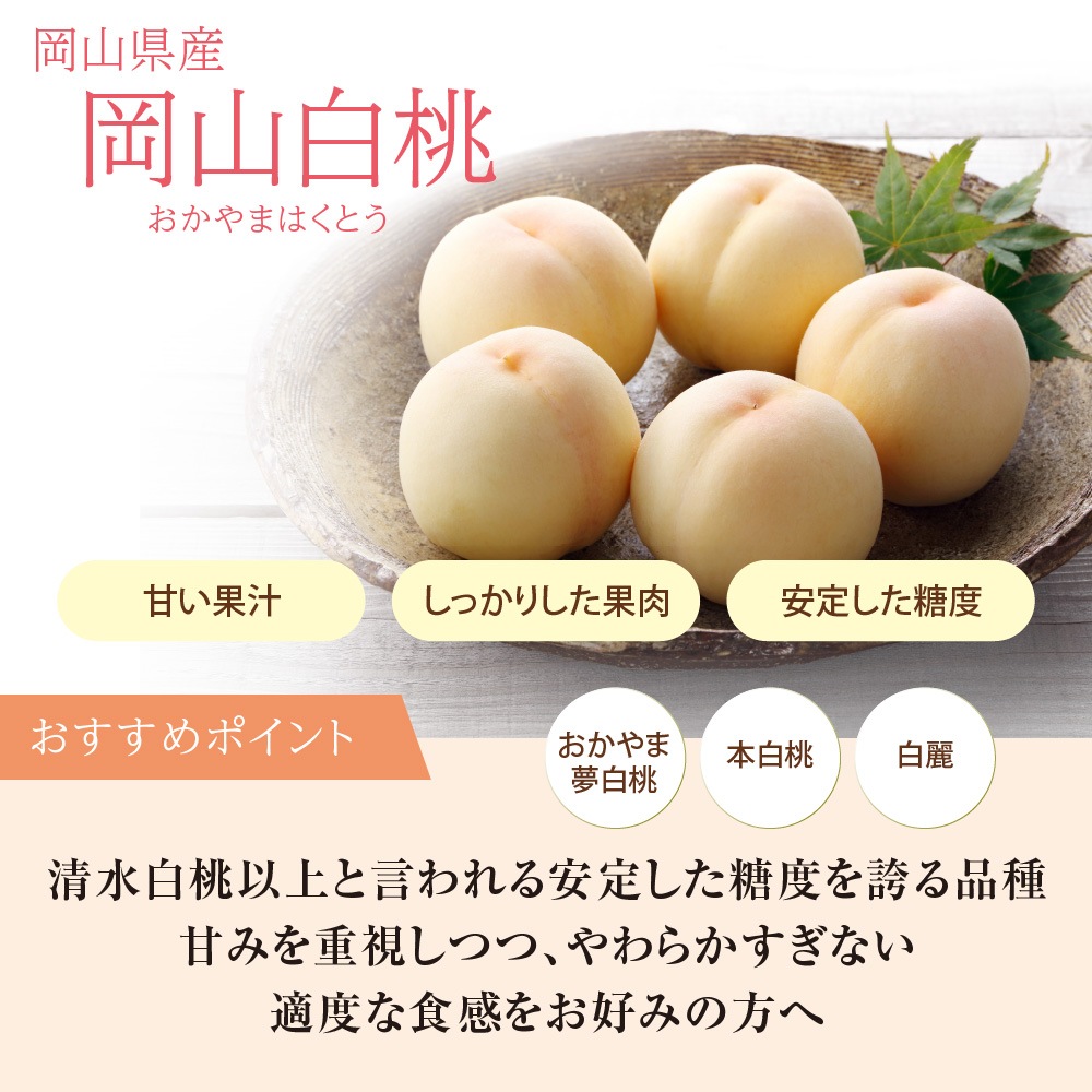 �����������ԥ����͵͹礻 �ڻ������Բġ�