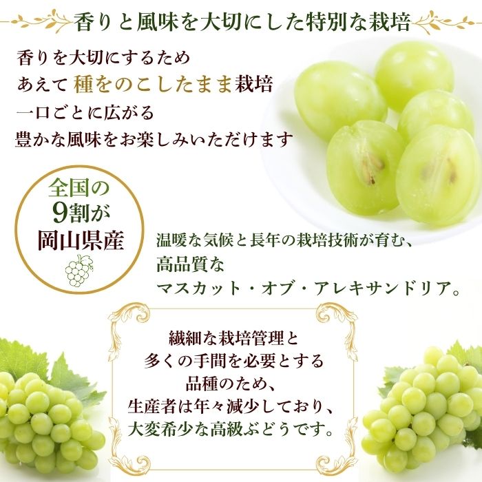 �����������ޥ����åȵ͹礻 �ڻ������Բġ�