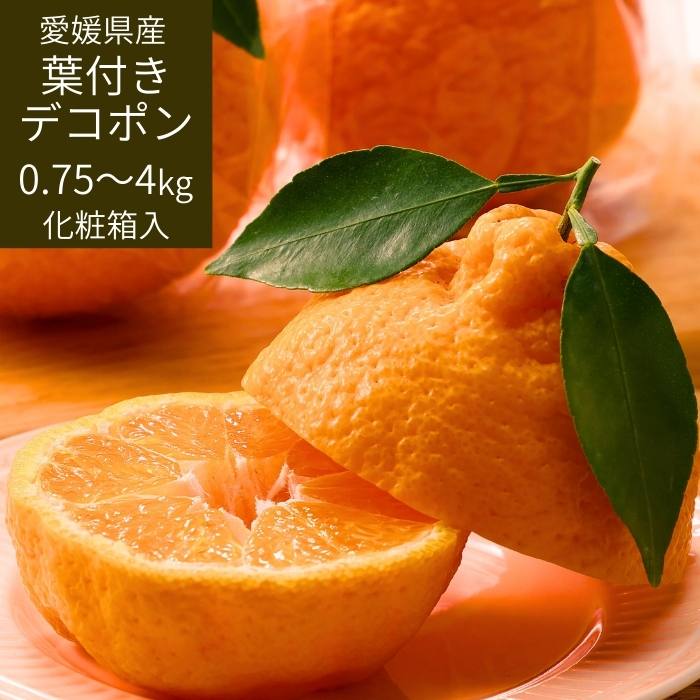 ���դ��ǥ��ݥ� ��ɲ���� ��4���5���ܺ��в١ۡ�����̵������� �����󥵡����� �ڻ������Բġ�