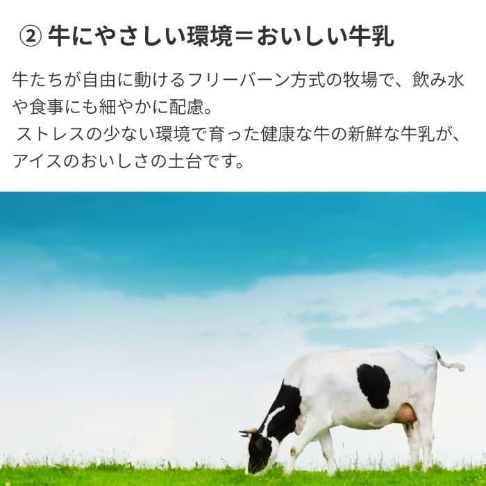 ������̵���۾����������Ȥβ����̼¥�����A���å� 8���� 