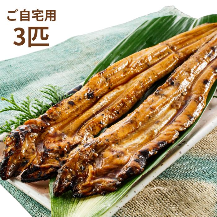 ������̵����ú�оƤ����3ɤ �������ѡʴʰ������� �����͡���å����������ɡ������ޡ����ե������Բ�