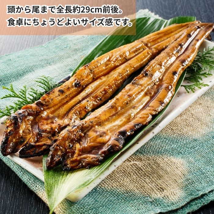 ú�оƤ���ҡ�����̵����