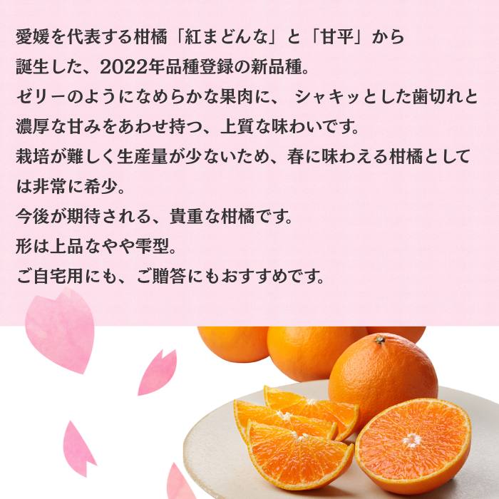 ��ɲ�̻���48�������̵���ۡڻ������Բġ�