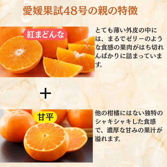 ��ɲ�̻���48�������̵���ۡڻ������Բġ�