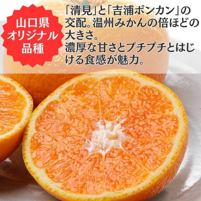 �������������Ȥߡ�����̵���ۡ��ڻ������Բġ�