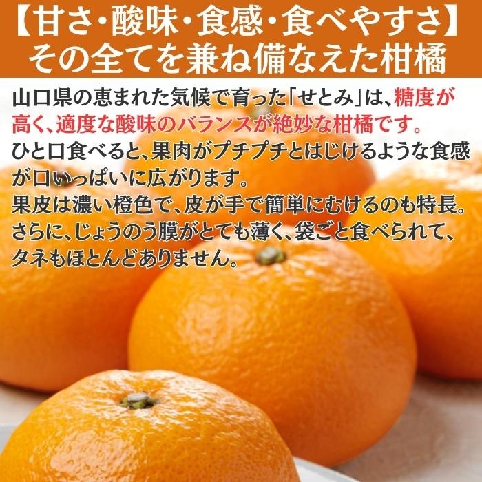 �������������Ȥߡ�����̵���ۡ��ڻ������Բġ�