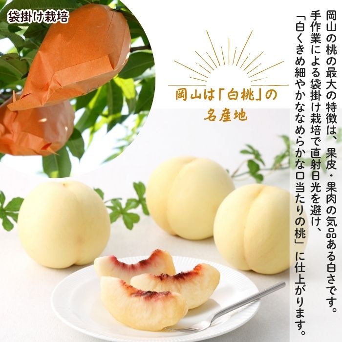��ġ����㥤��ޥ����åȵ͹礻�ڻ������Բġۡڽвٻ�����8��21����8��������