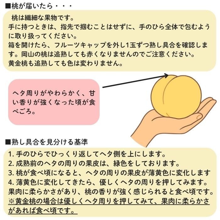 �������� ������ Ķ�õ� 2L������ 3�� ���㥤��ޥ����å�1˼����700g) �ڻ������Բġۡڽвٻ�����8��21����9���ܡ�