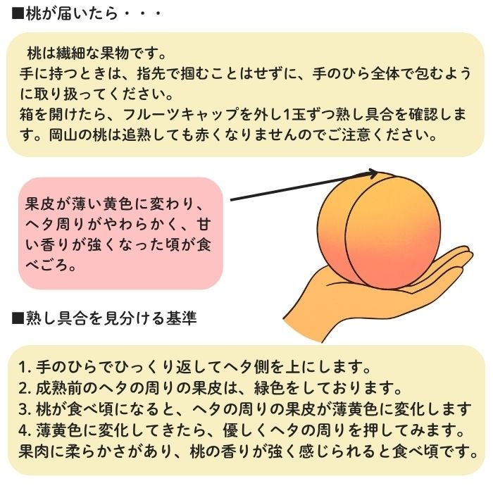 �������� ���������� 2L������ 3�� ���㥤��ޥ����å�1˼��700��ˡڻ������Բġۡڽвٻ�����8���ܡ�