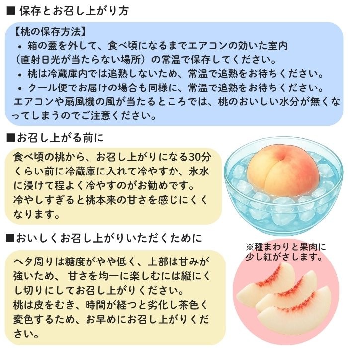 �������� ���������� 2L������ 3�� ���㥤��ޥ����å�1˼��700��ˡڻ������Բġۡڽвٻ�����8���ܡ�