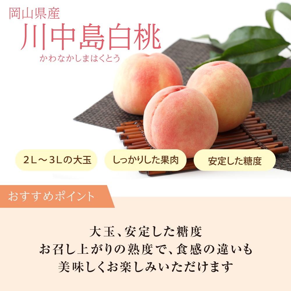 �������� ���������� 2L������ 3�� ���㥤��ޥ����å�1˼��700��ˡڻ������Բġۡڽвٻ�����8���ܡ�