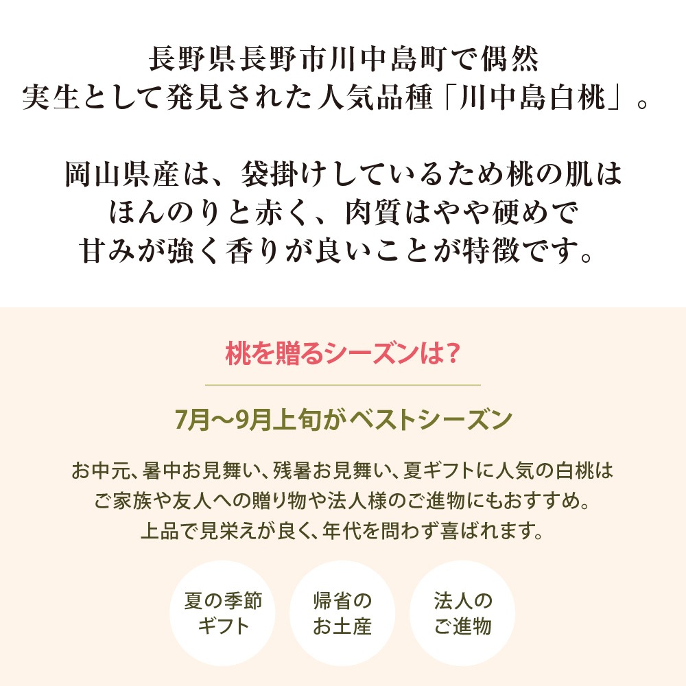�������� ���������� 2L������ 3�� ���㥤��ޥ����å�1˼��700��ˡڻ������Բġۡڽвٻ�����8���ܡ�