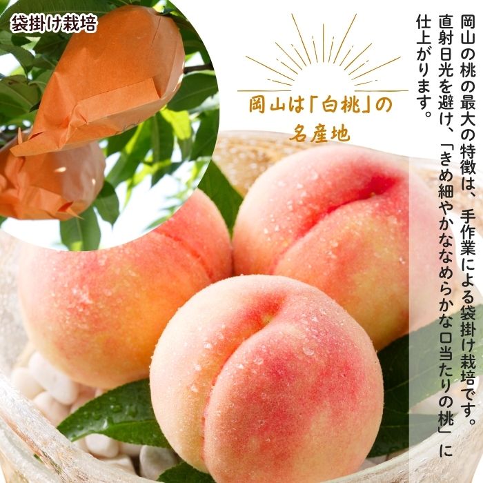 �������� ���������� 2L������ 3�� ���㥤��ޥ����å�1˼��700��ˡڻ������Բġۡڽвٻ�����8���ܡ�