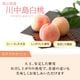 �������� ���������� 2L������ 3�� ���㥤��ޥ����å�1˼��700��ˡڻ������Բġۡڽвٻ�����8���ܡ�