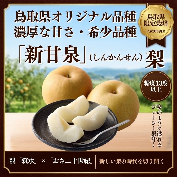 Ļ�踩�����������ڻ������Բġ�