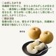 Ļ�踩�����������ڻ������Բġ�