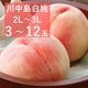 ���������� (2L��3L�������ˡڻ������Բġۡڽвٻ�����7��24��������8��7������