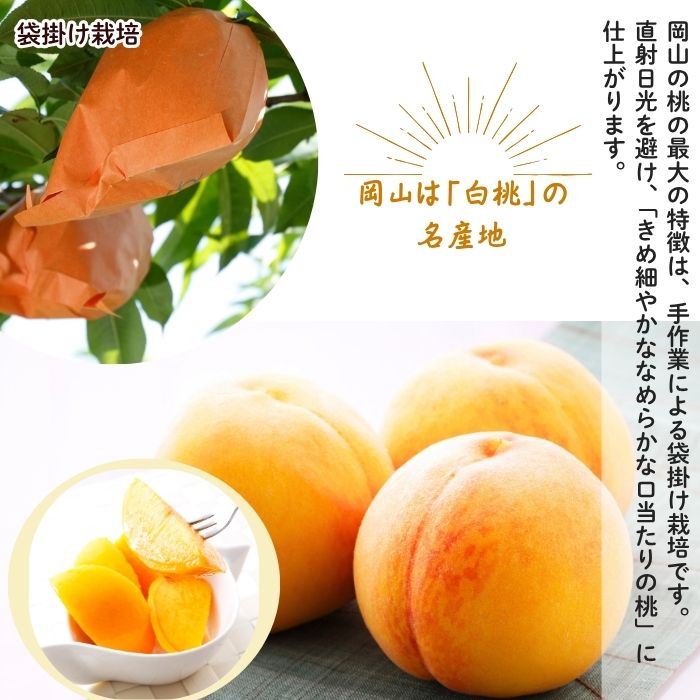 ������ Ķ�õ�(2L������) �ڻ������Բġۡ�8��ܤޤ���9���ܺ��в�ͽ���