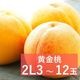 ������ Ķ�õ�(2L������) �ڻ������Բġۡ�8��ܤޤ���9���ܺ��в�ͽ���