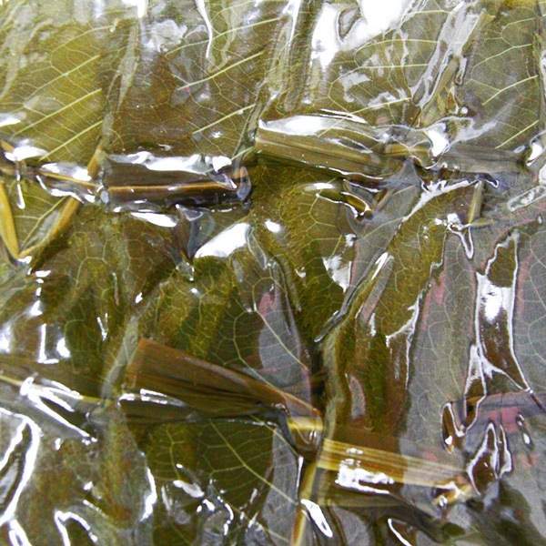 ������Ź �������������� M������ ��� 500���10����