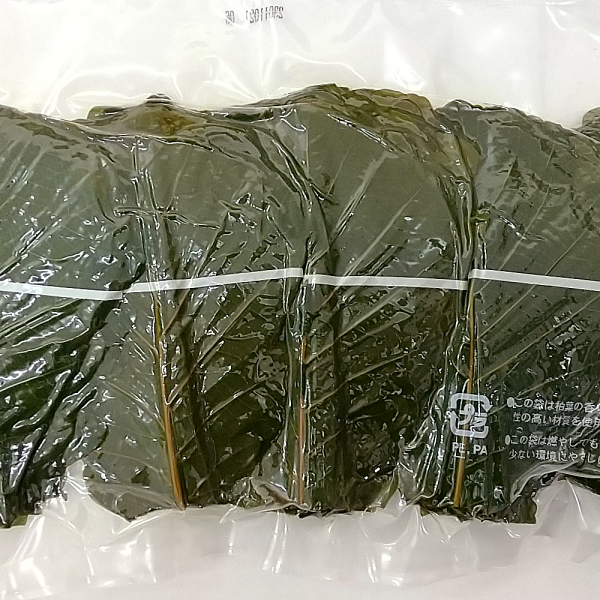 �������� ���ߤ��� MS������ ��� 250���12����