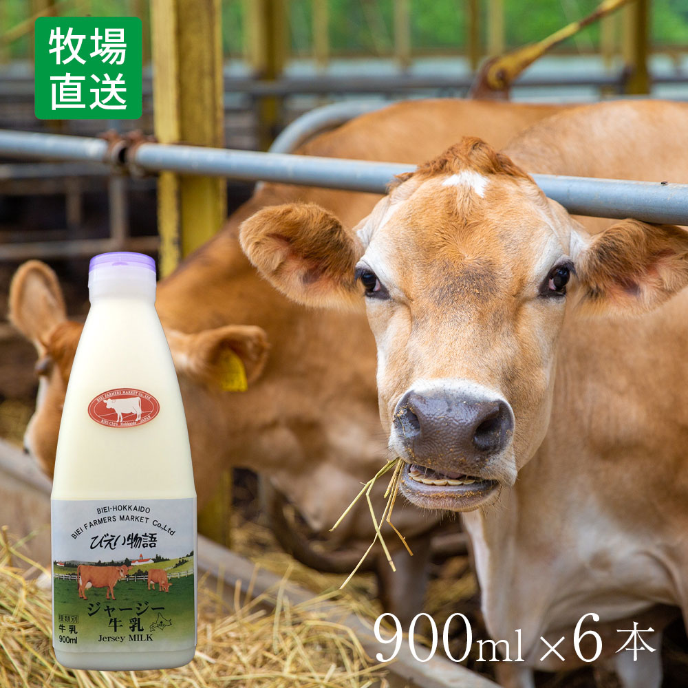 ジャージー牛乳セット900ml×6本