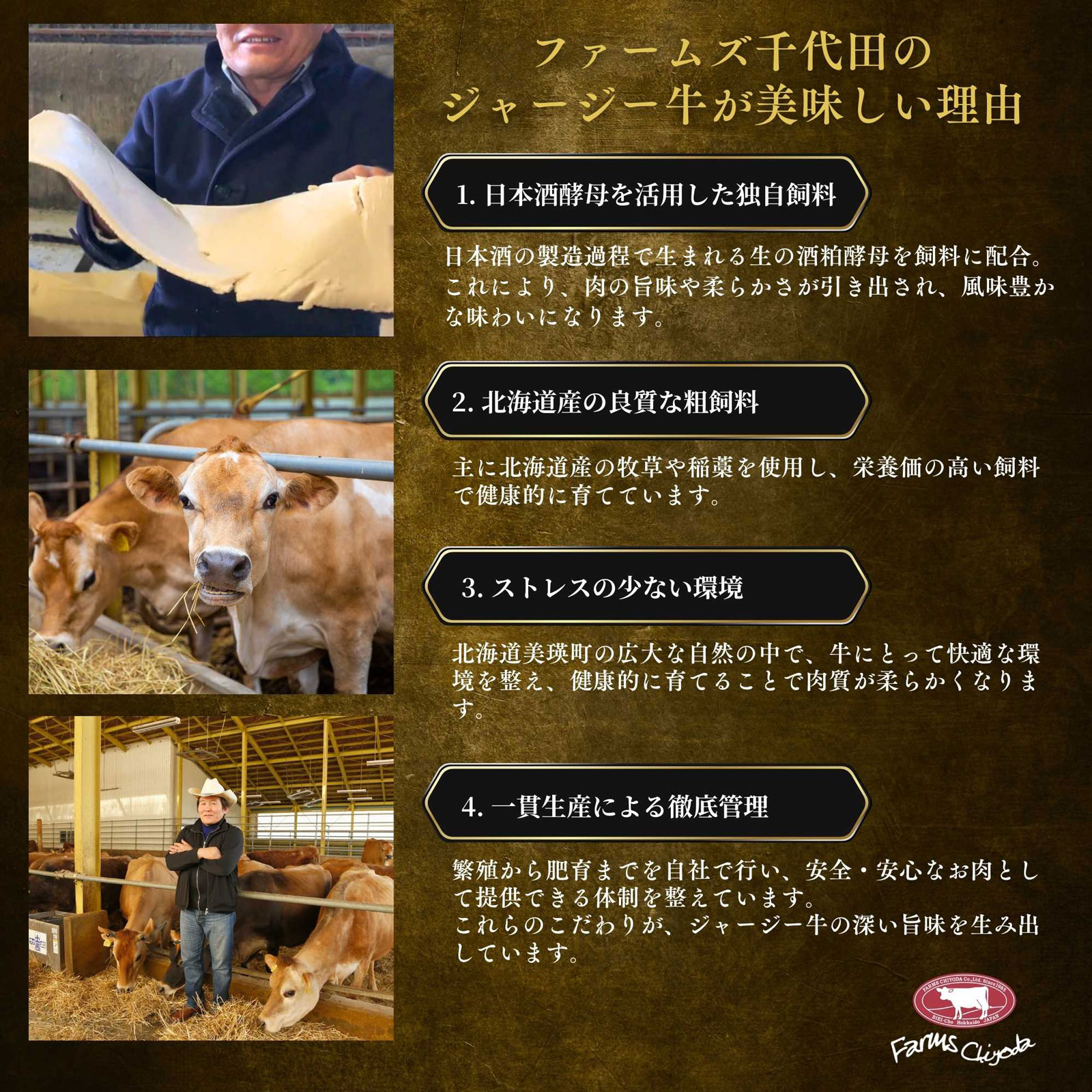 一つ星シェフ監修　ジャージー牛煮込みハンバーグ　ギフトセット