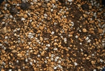 ������ݥ֥��ɡ��ͥ�ͤ��ڡ���������ʣ���L��2��)