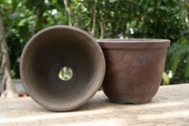 ð��ȭ���Ф��ҾƤ���6���2���Ȥߡ�