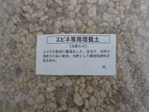 ���ӥͤ��ڡ���������4L��5��