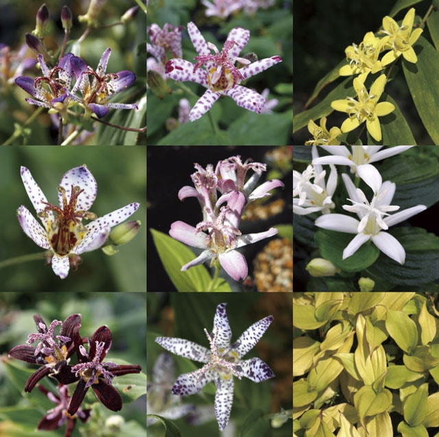 �ڻ�����ۥۥȥȥ�������10��10��