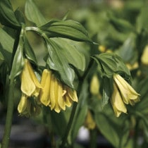 �ڻ�����۲��֥ۥ����㥯������10���ޤȤ��㤤