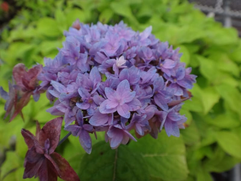 ��2025ǯ���ָ����߳��ե�ޥ��������ֹ����βڡס�3��ݥåȿ���