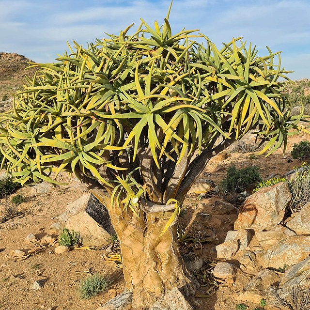 ����������⥷�å��ޡ�5��ȭ