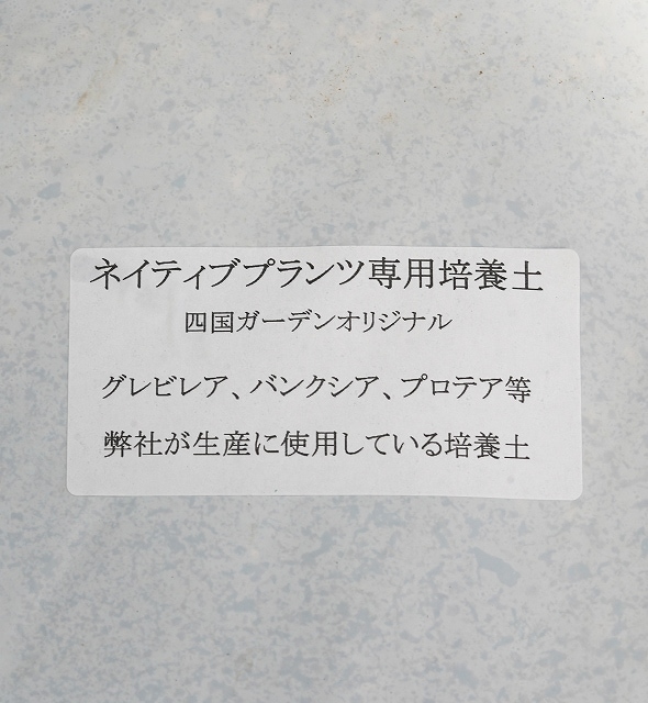 �ڻ͹񥬡��ǥ󥪥ꥸ�ʥ�ۥͥ��ƥ��֥ץ������������ڡ�20L��3�ޡˢ�����̵��